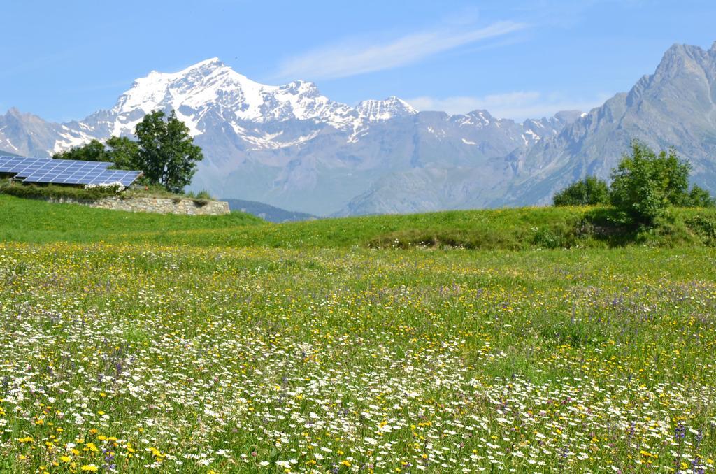 Apartamento Lo Coppa Fen Aosta Exterior foto